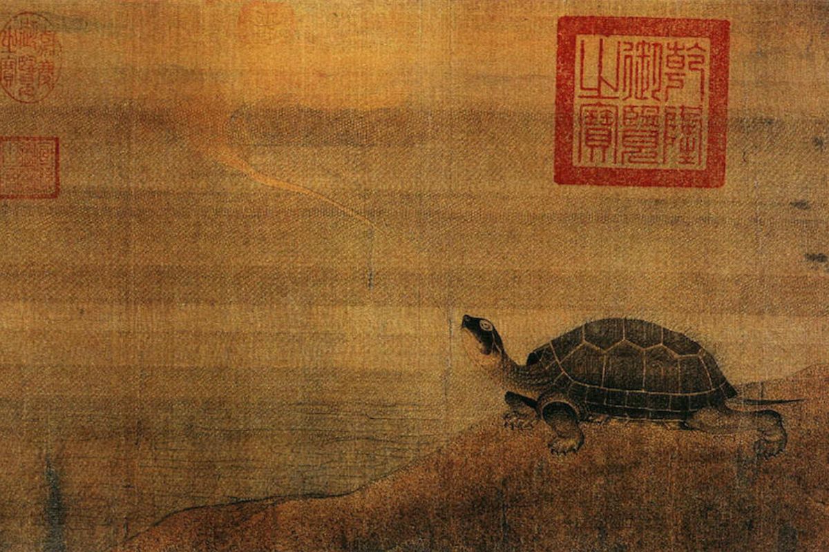 Was Du vom Archetypus Schildkröte über die Weisheit des Herzens lernen kannst