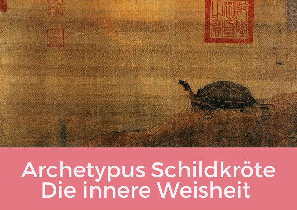 Was Dir der Archetypus Schildkröte über Deine innere Weisheit verrät